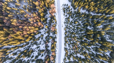 黄色和橙色枫树旁道路的航空摄影